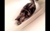 萌貓直盯著浴缸排水孔看，主人就近一看，萌貓抬頭露出「發現自己身世」的表情