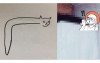 老師要學生畫貓…他畫這樣得0分  結果貓咪本人一現身，網友全聲援：哪裡錯啦
