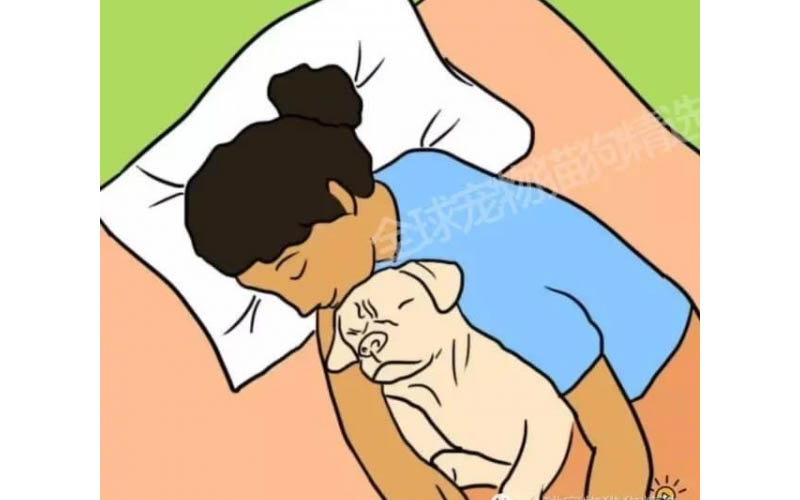 究竟人類和狗狗一起睡覺會不會影響身體呢？7個理由告訴你，就是該和牠們一起睡！！